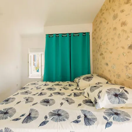 In Cathar Village Of Holiday home Montouliers